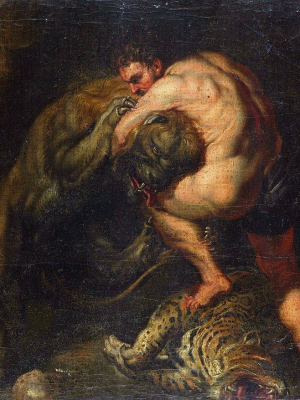 Herkules walczący z lwem nemejskim - Peter Paul Rubens - zdjęcie w domenie publicznej
