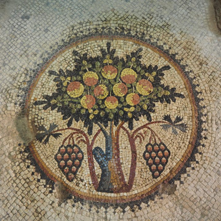 Mozaika 