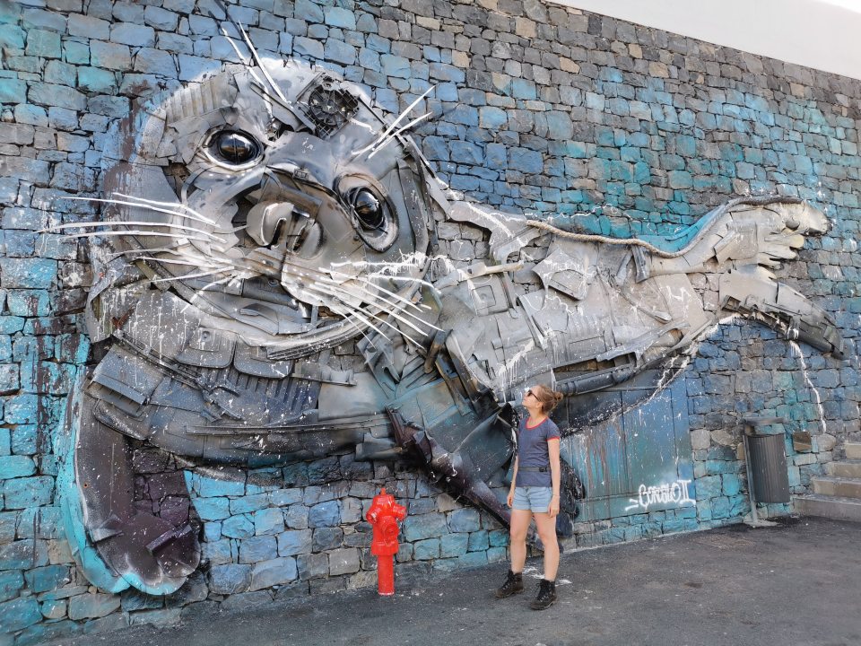 Foka z dala wygląda jak mural, ale to przestrzenna instalacja zrobiona z plastikowych hmmm... części samochodowych, starych opon itp.