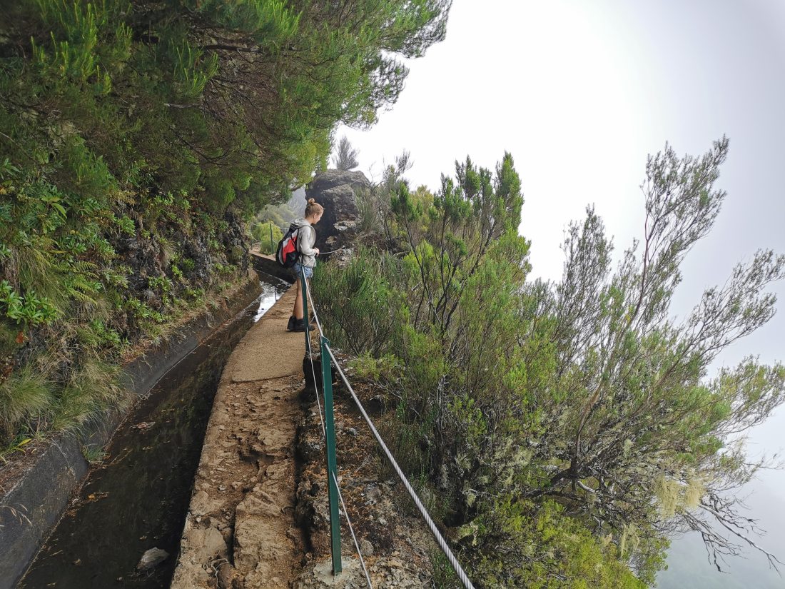 Levada do Alecrim
